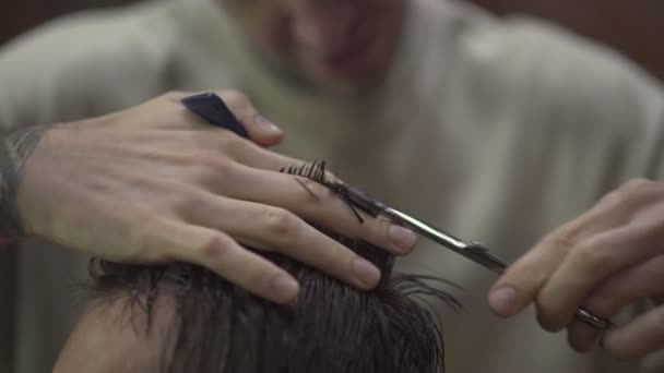 Barbeiro Proporcionando Corte Cabelo Cliente Masculino Barbearia — Vídeo de Stock