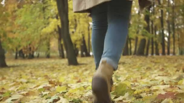 Nahaufnahme weiblicher Füße, die durch Herbstblätter im Park spazieren — Stockvideo