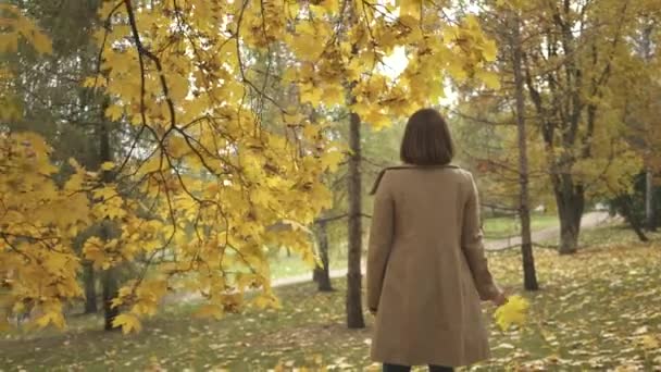 Nő áll a fa alatt az őszi parkban forgó juharfalevél a kezében — Stock videók