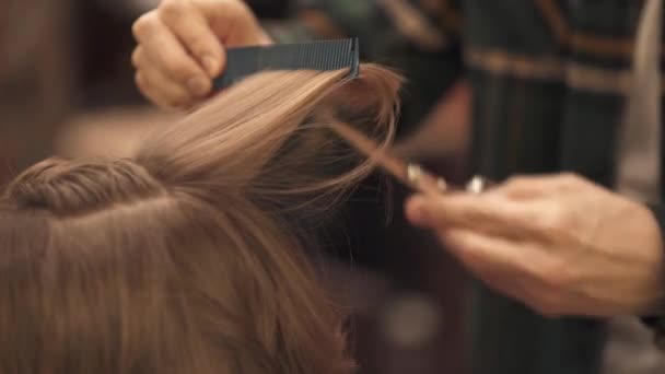 Parrucchiere Fornendo Taglio Capelli Con Forbici Professionali Nel Salone Parrucchiere — Video Stock