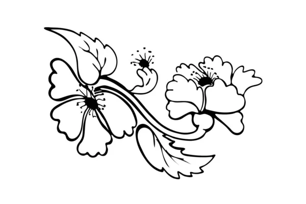 デザインのための装飾的な花。白い背景に隔離されています。ストック・ベクトル・イラスト白黒のグラフィック。ミニマリズム手描き. — ストックベクタ
