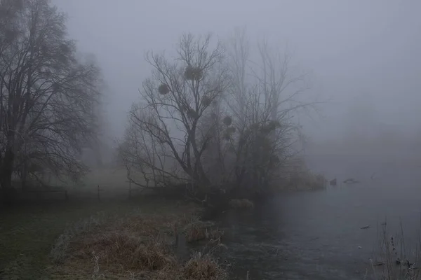 多雾的早晨。灰色的神秘风景 — 图库照片