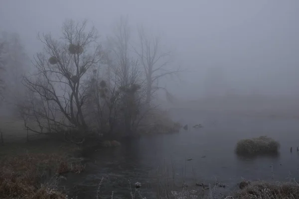 Foggy morning. Gray mystical landscape