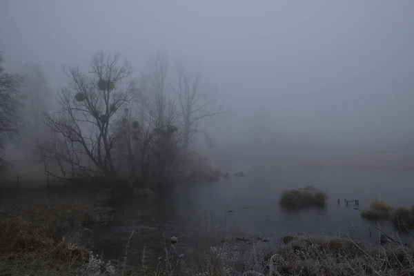 Foggy matin. Paysage mystique gris — Photo