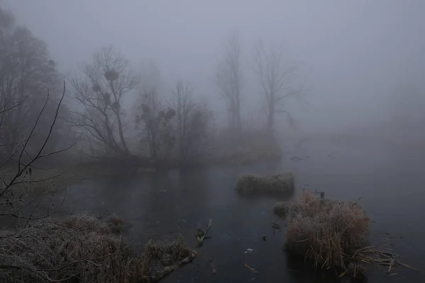 Nebliger Morgen. graue mystische Landschaft — Stockfoto