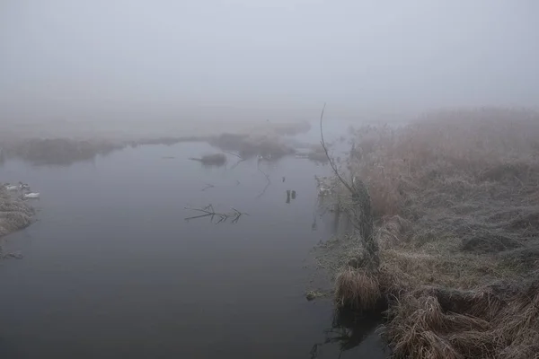 Ködös reggel. Szürke misztikus táj — Stock Fotó