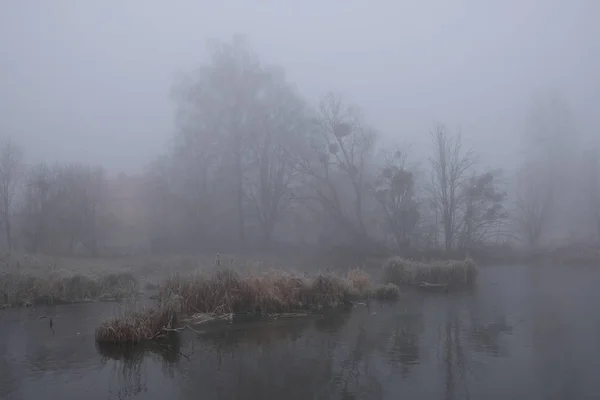 Туманний ранок. Сірий містичний пейзаж — стокове фото