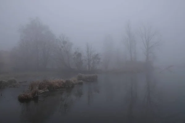 Mlhavé ráno. Šedá mystická krajina — Stock fotografie