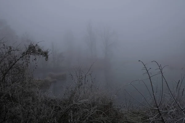 Mlhavé ráno. Šedá mystická krajina — Stock fotografie