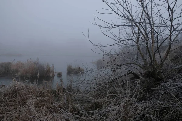 Nebliger Morgen. graue mystische Landschaft — Stockfoto