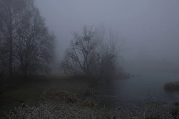 Foggy matin. Paysage mystique gris — Photo