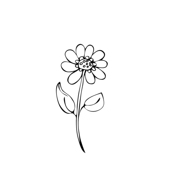花だ。白い背景に隔離されています。ストック・ベクトル・イラスト。白黒のグラフィック。ミニマリズム。手描き. — ストックベクタ