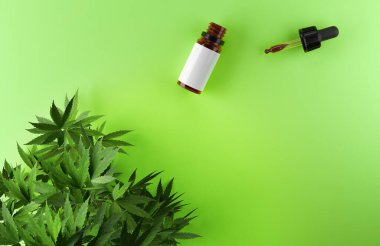 Yeşil zemin üzerinde esrar yaprakları ve CBD yağ şişesi.