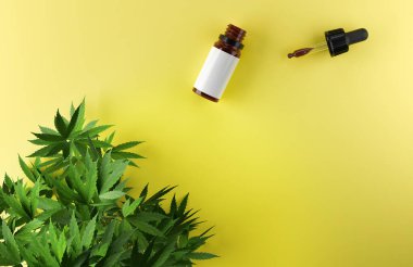 Sarı zemin üzerinde esrar yaprakları ve CBD yağ şişesi.