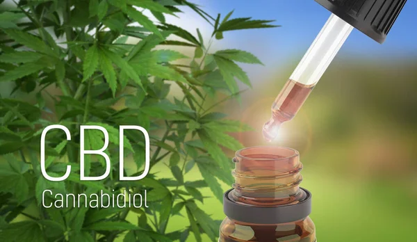 CBD oil dropper with cannabis background . Cannabiodiol.