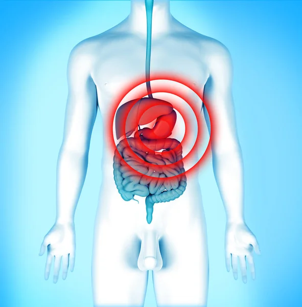 ヒトの解剖学における胃痛3Dイラスト — ストック写真