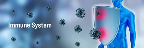 Protezione Del Sistema Immunitario Contro Virus Batteri Gli Umani Proteggono — Foto Stock