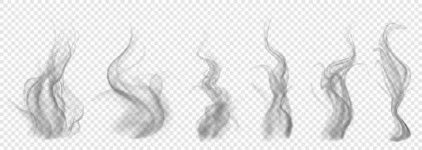 Conjunto de humo gris translúcido — Archivo Imágenes Vectoriales