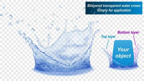 Corona de salpicadura de agua de doble capa — Archivo Imágenes Vectoriales