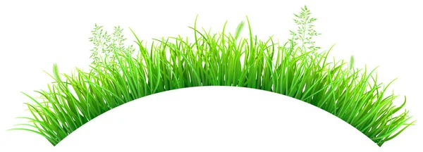 Hierba verde en forma de arco — Vector de stock