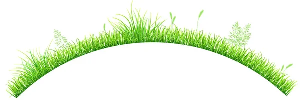 Zielona trawa w kształcie łuku — Wektor stockowy