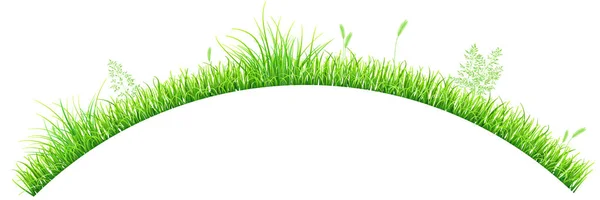 Green grass in the shape of an arc — Stock Vector