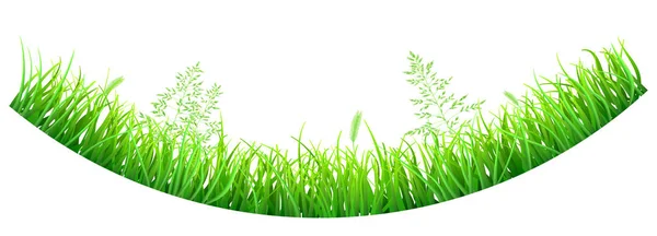 Green grass in the shape of an arc — Stock Vector