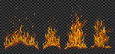 Bir grup yanan kamp ateşi.