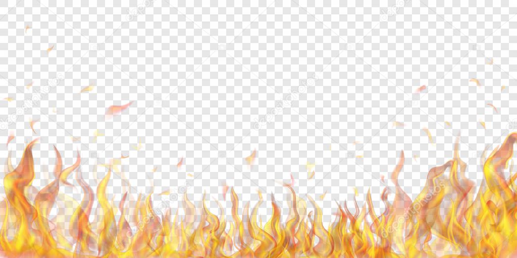 Background of fire flames