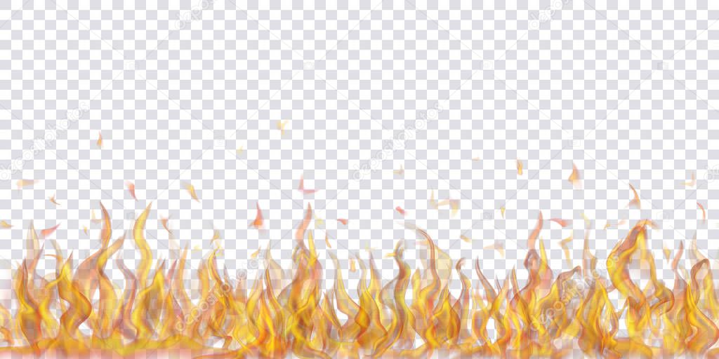 Background of fire flames