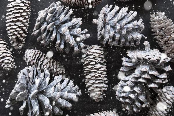 Tannenzapfen-Textur als Weihnachtsdekoration, flache Lage und Schneeflocken — Stockfoto
