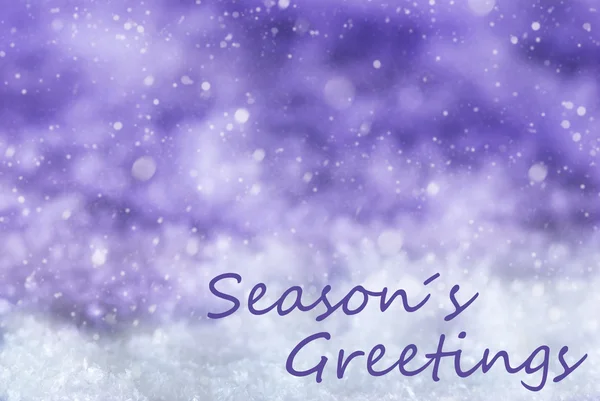 Paarse kerst achtergrond, sneeuw, sneeuwvlokken, tekst seizoenen groeten — Stockfoto