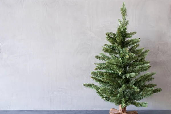 Weihnachtsbaum, Kopierraum, Betonwand als Hintergrund — Stockfoto