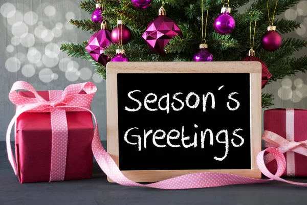 Boom met geschenken, Bokeh, tekst Seasons Greetings — Stockfoto