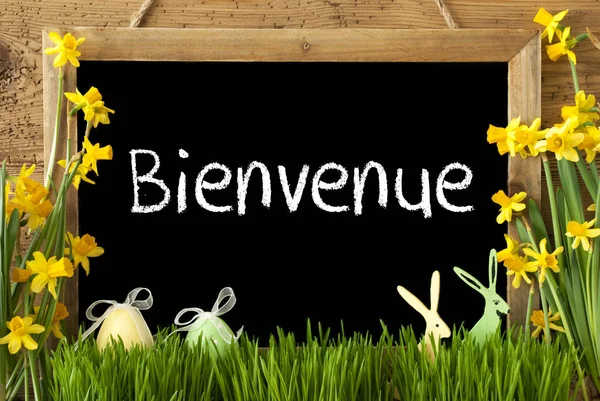 Narcissus, Easter Egg, Bunny, Bienvenue Means Welcome — Stock Photo, Image