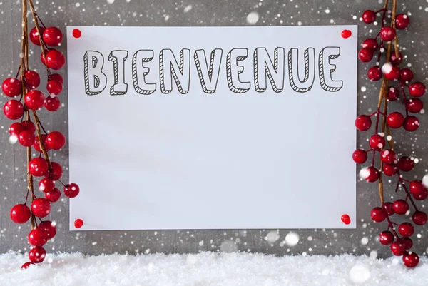 Etiqueta, Copos de nieve, Decoración de Navidad, Bienvenue significa Bienvenido —  Fotos de Stock