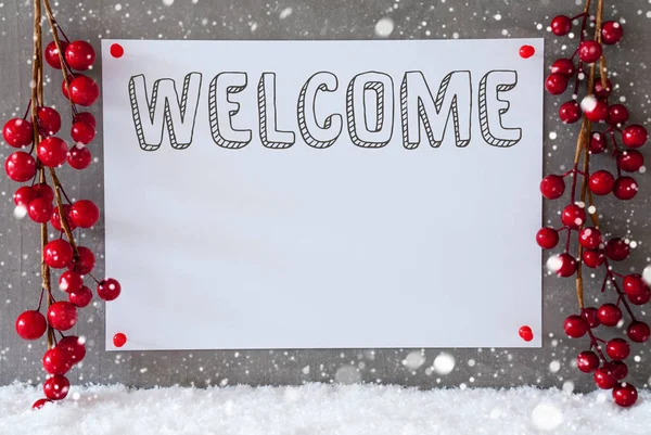 Ετικέτα, νιφάδες χιονιού, Χριστουγεννιάτικη διακόσμηση, κείμενο υποδοχής — Φωτογραφία Αρχείου