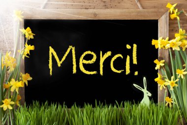 Güneşli Narcissus, Paskalya tavşanı, Merci demektir teşekkür ederim