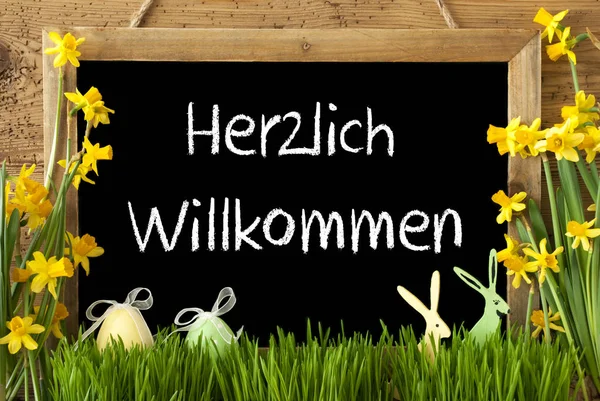 Narzisse, Osterei, Hase, herzlich willkommen heißt willkommen — Stockfoto