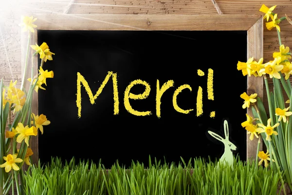 Sunny Narcissus, Easter Bunny, Merci Means Thank You — Stock Photo, Image