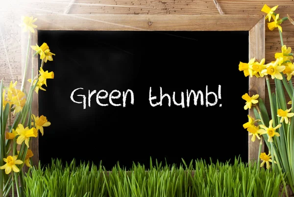 Sunny Spring Narciso, Chalkboard, texto Green Thumb — Fotografia de Stock