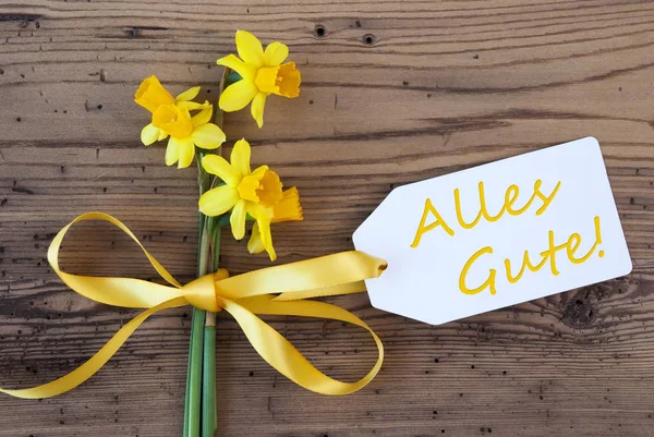 Yellow Spring Narcissus, Label, Alles Gute Means Best Wishes — Stock Photo, Image