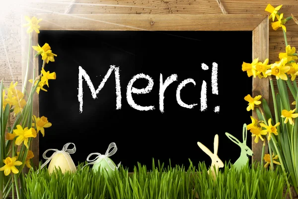 Sunny Narcissus, Easter Egg, Bunny, Merci Means Thank You — Stock Photo, Image