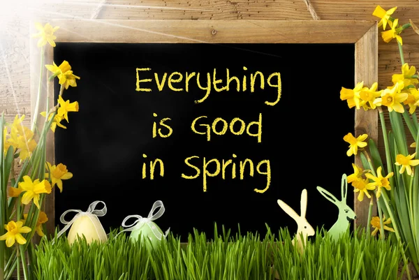 Soliga Narcissus, påskägg, Bunny, Text allt är bra våren — Stockfoto