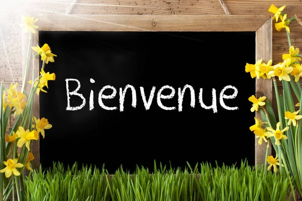 Sunny Spring Narcissus, Chalkboard, Bienvenue Means Welcome — Stock Photo, Image