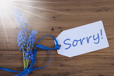 Güneşli Srping üzüm sümbül, etiket, üzgünüm