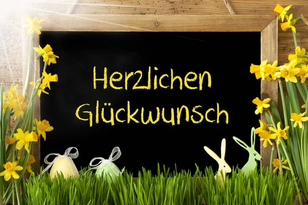 Sunny Narcissus, Egg, Bunny, Herzlichen Glueckwunsch Means Congratulations — стокове фото