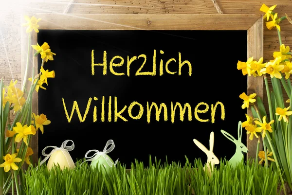 Sunny Narcissus, Easter Egg, Bunny, Herzlich Willkommen Means Welcome — Stock Fotó