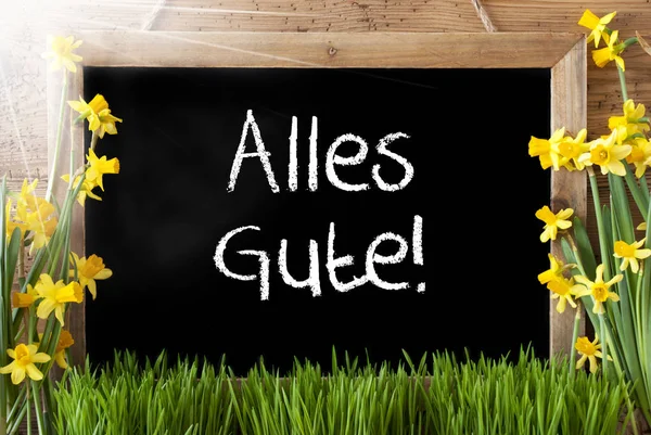 Sunny Spring Narcissus, Chalkboard, Alles Gute Means Best Wishes — Stock Photo, Image