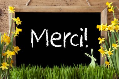 Narcissus, Paskalya tavşanı, Merci demektir teşekkür ederim